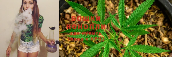 MESCALINE Верея