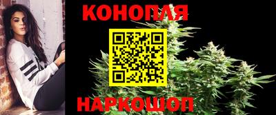 шишки Волжский