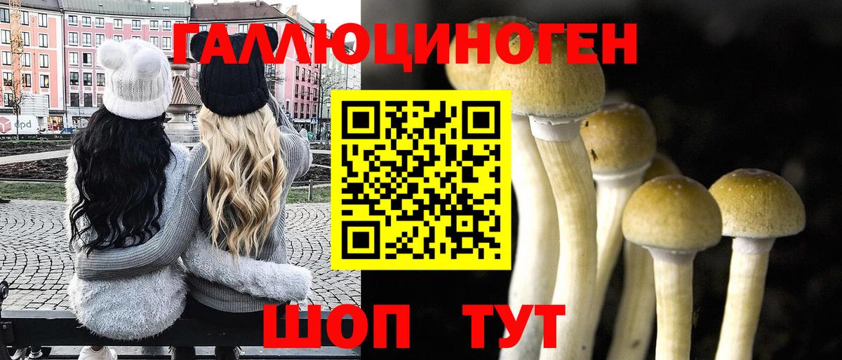 Галлюциногенные грибы Magic Shrooms Вольск
